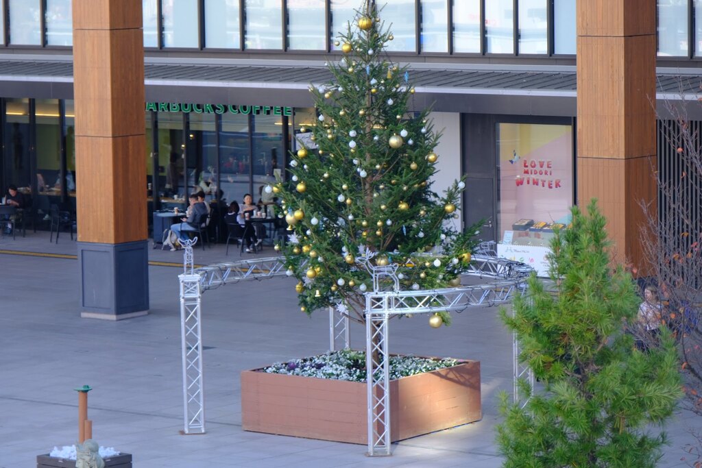 いろいろな師走の景色.長野駅前　2024/11