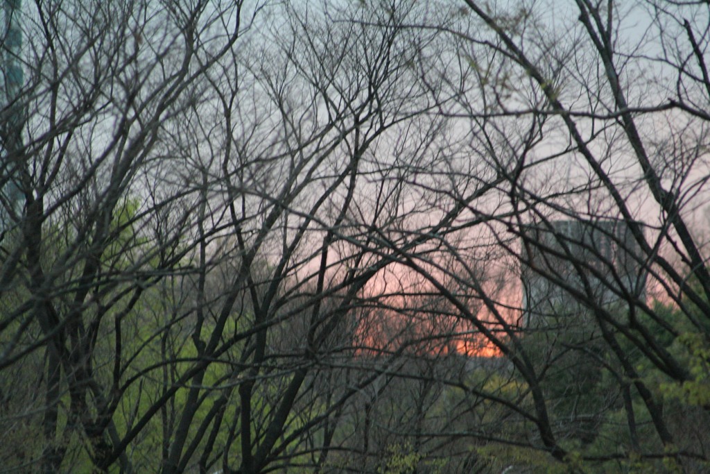 新宿のある日の夕暮れ　2010年。