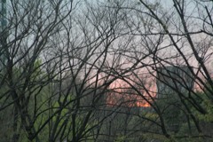 新宿のある日の夕暮れ 2010年。