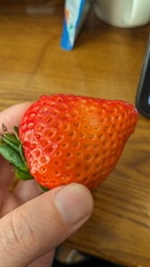 大きくて甘いイチゴ