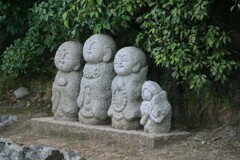 ほんわかしてる仏様　2008/9