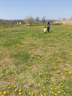 たんぽぽの広場　2017春