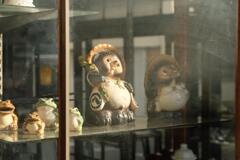 夕日の中のたぬき 2024/12