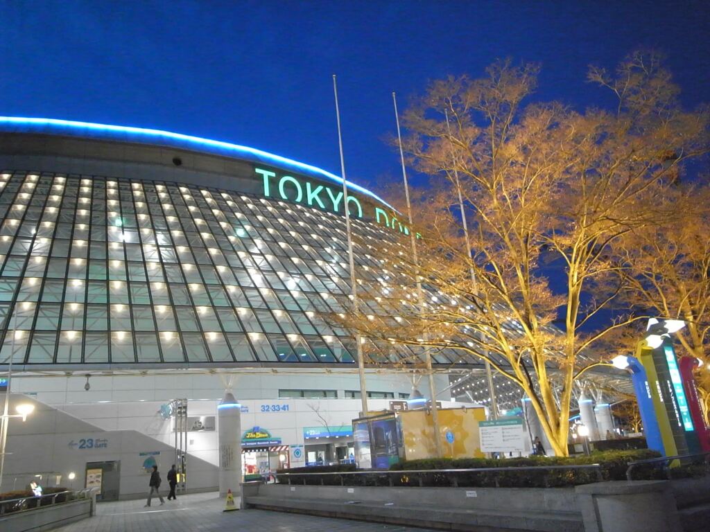 東京ドーム　2011年。