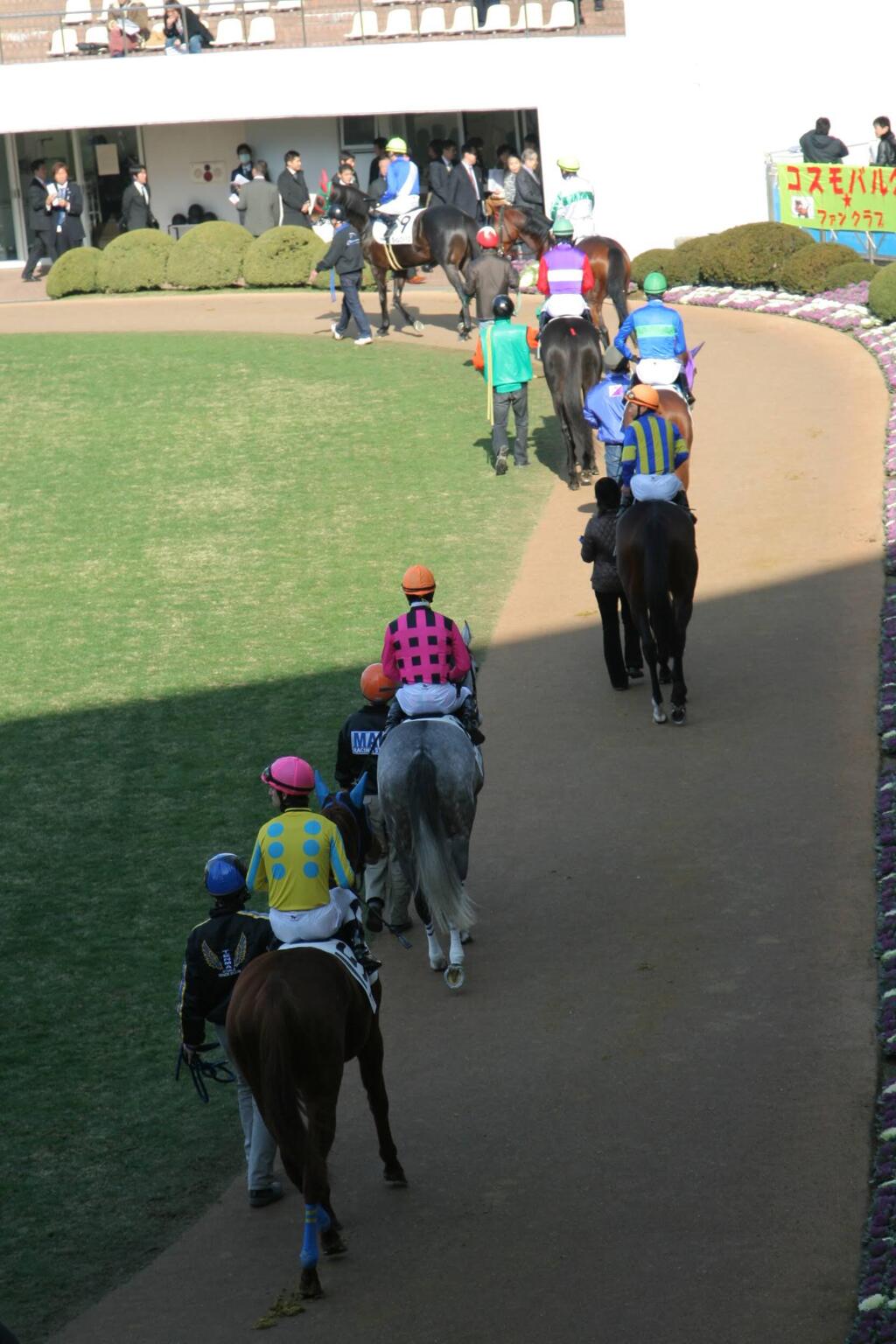 いつの日かの有馬記念パドック〜　2009/12