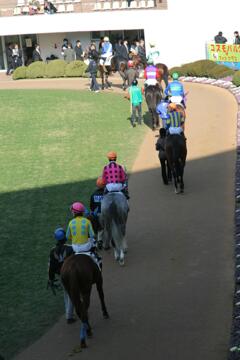 いつの日かの有馬記念パドック〜　2009/12