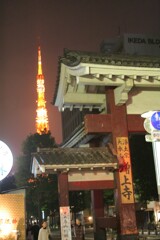 増上寺から東京タワーを　2009/11