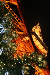 イルミネーション@東京タワー　2009/11