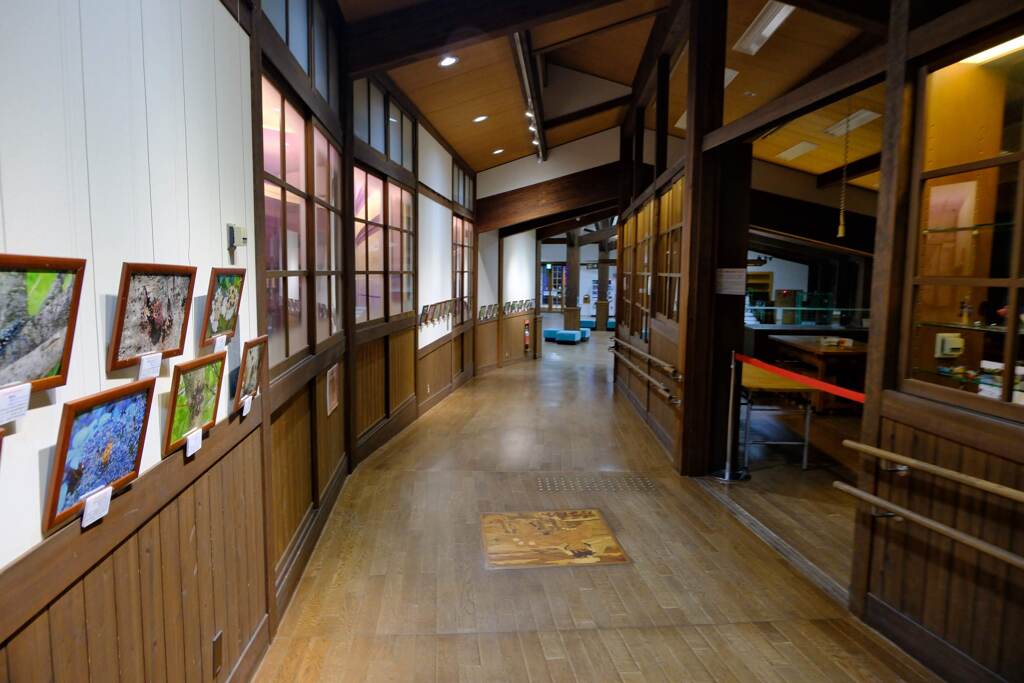 あずみの学校の通路好きな角度2