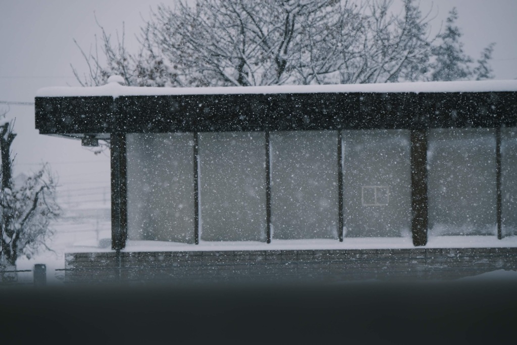 しんしんと降る雪