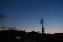 山間部のマジックアワー