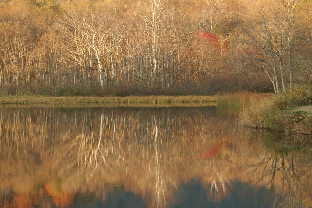鏡池その3 2006/10