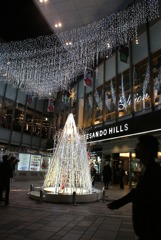 表参道ヒルズの表のツリー　2009/11