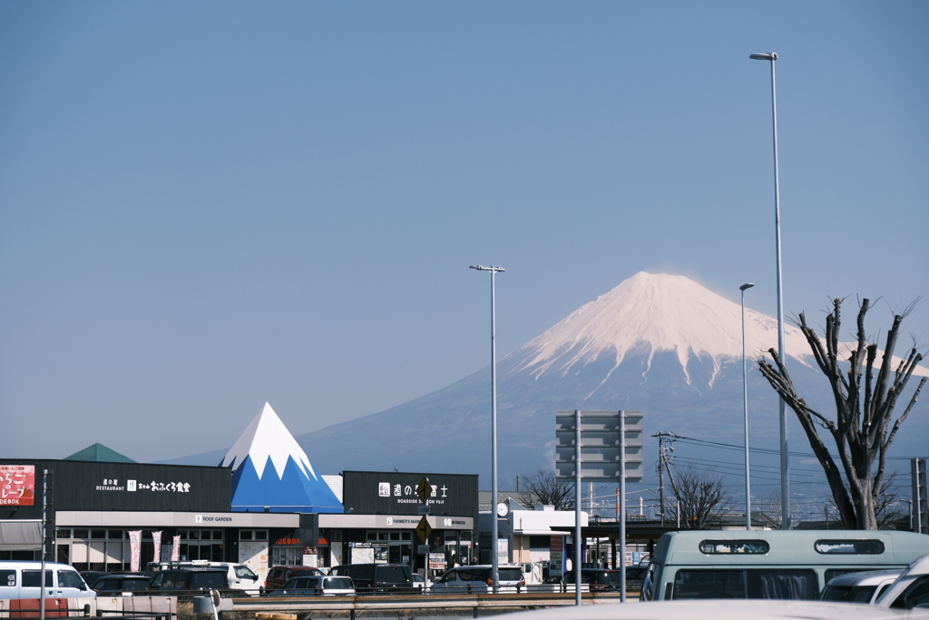 道の駅富士から富士