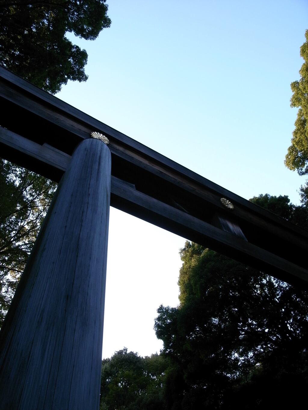 明治神宮2 2008/10