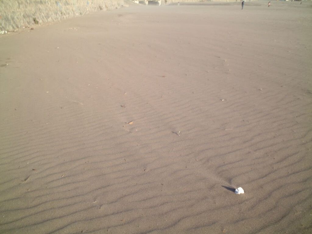 砂浜の風紋？すら素晴らしいと感じました。　2002/11