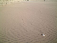 砂浜の風紋？すら素晴らしいと感じました。　2002/11