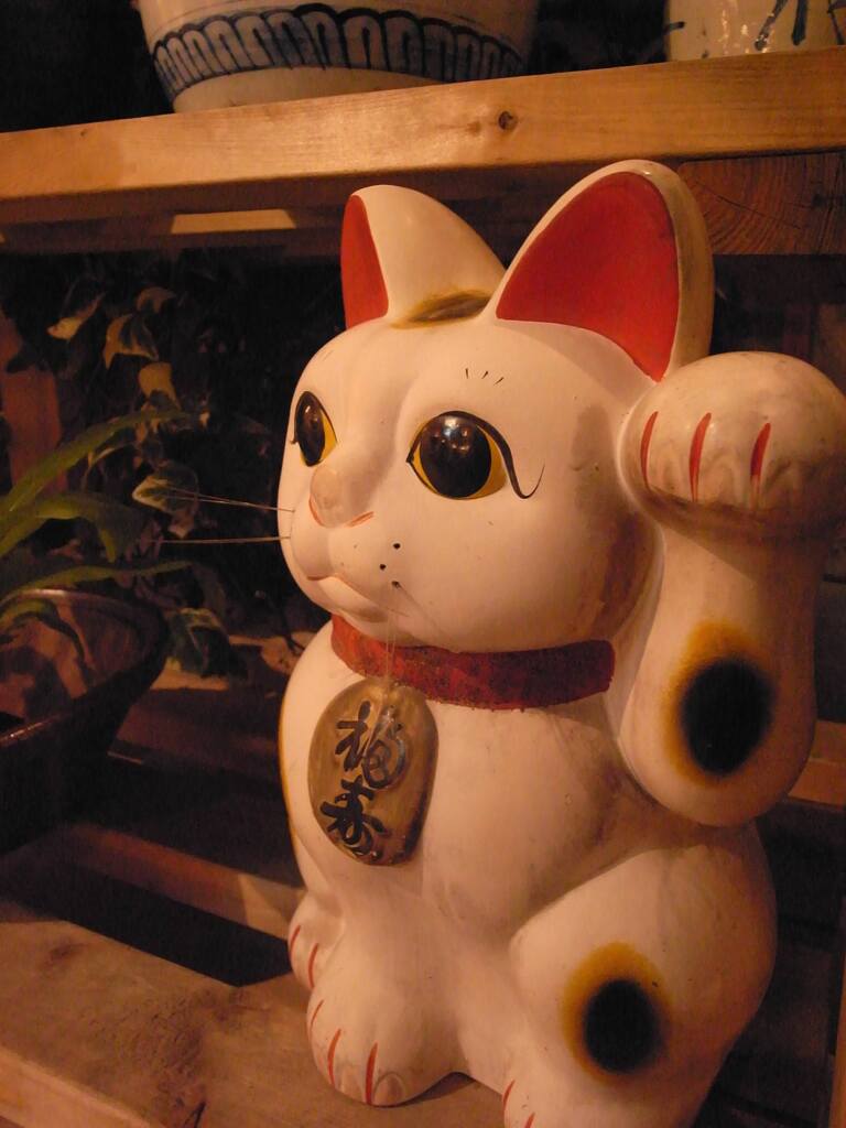 街なかの猫　2009/1