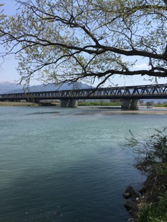 千曲川と村山橋　2017年