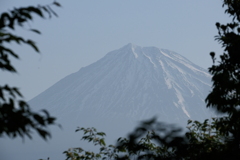 岩本山公園　頂上広場から富士山