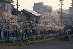 夕日に照らされた公園