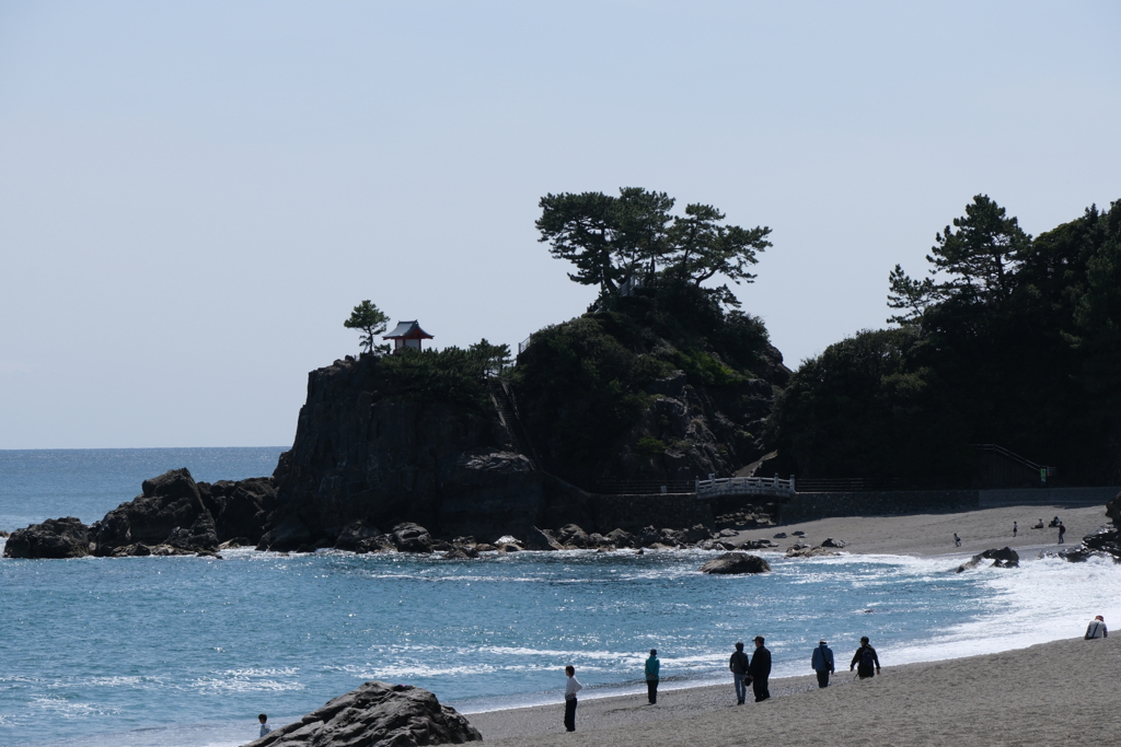 桂浜