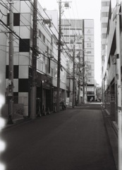 朝