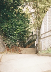 綺麗な脇道