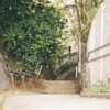 綺麗な脇道