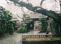 門