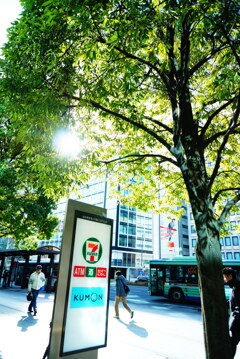 冬なのに夏