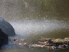 うまそうで下手