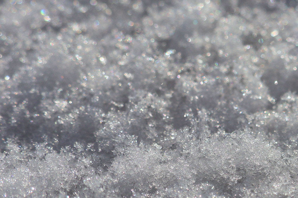 陽のあたる雪