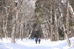 雪道歩く。