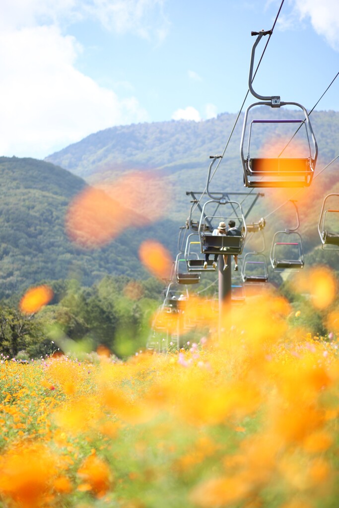 仲睦まじげで良きですな。