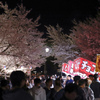夜桜花見