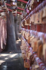 絵馬、真田神社。