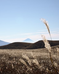 富士山2024秋