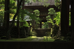 苔のある寺