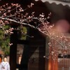 あと数日もすれば…