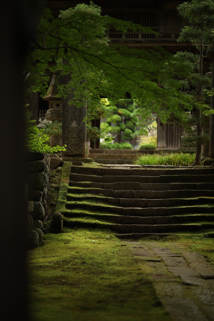 苔のある寺2