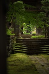 苔のある寺2