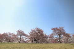 2023年4月1日、もうすぐ1年生のおねいさん。