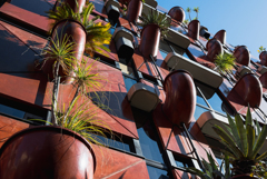 目指せよ、空へ