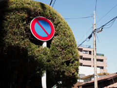 後ろからハグ