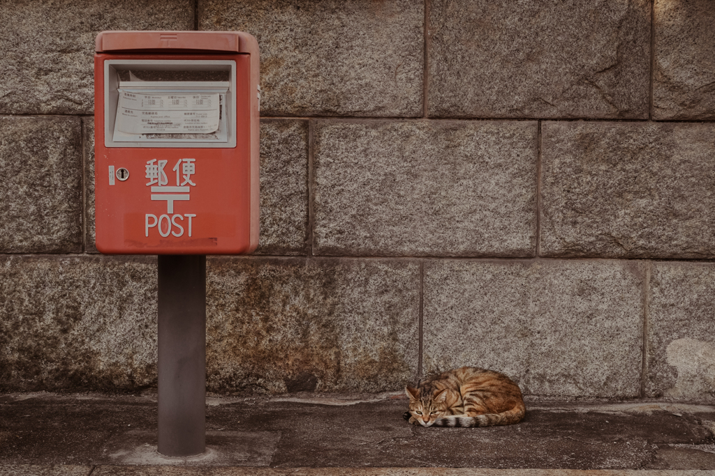 小ポスト ネコさん