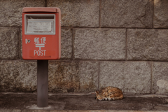 小ポスト ネコさん