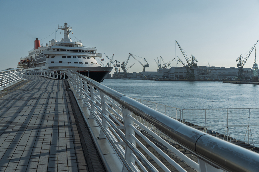 あみだくじ クルーズ船