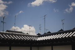 京都 竹林