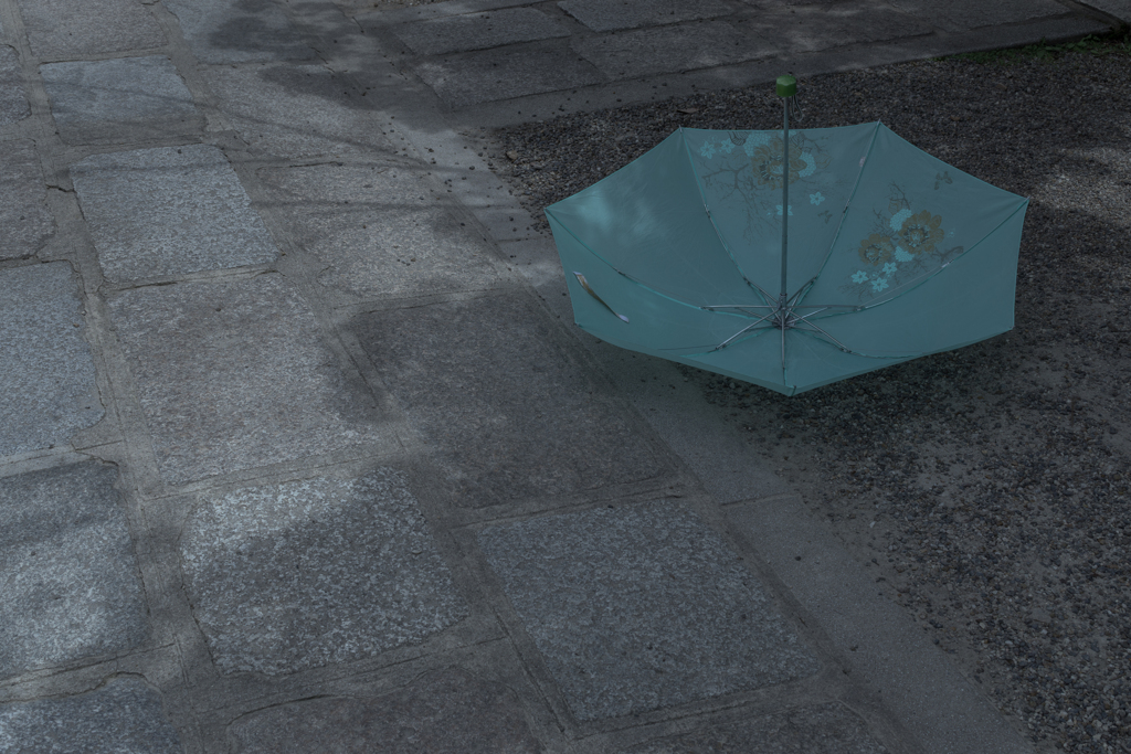 境内 花傘